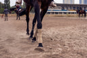 Boots, Wraps & Summer Heat: Are You Protecting or Overheating Your Horse's Legs?