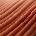 From Invisible to Inevitable: How Early Microdamage Becomes a Full-Blown Soft Tissue Injury