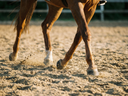 Why Footing Matters More Than You Think for Tendon and Ligament Health