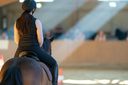 What Trailering and Show Stress Do to Your Horse's Tendons and Ligaments