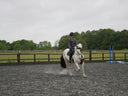 How to Know If Your Horse Is Ready to Move to the Next Phase of Rehab