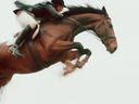 Which Soft Tissue Injuries Are Most Common in Your Discipline?