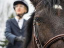 My Horse Has a Soft Tissue Injury - Now What?