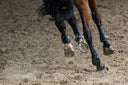 Prevention is Key: Protecting Your Horse's Tendons for Long-Term Soundness