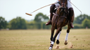 Soft Tissue Demands on Polo Horses: Why the Sport Creates Unique Injury Risk