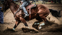 The Physical Challenges Western Performance Horses Face