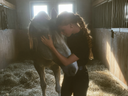 The Emotional Side of Managing a Horse Through a Soft Tissue Injury