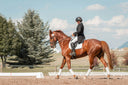 From Everyday Strain to Injury: Understanding Microdamage in Equine Tendons