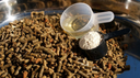 Supplements for Horse Tendon and Ligament Health: What to Look For