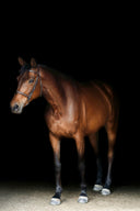 What to Do at the First Sign of a Tendon Injury