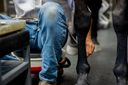 When to Get a Second Opinion on Your Horse's Soft Tissue Injury