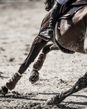 Why Suspensory Injuries Can Be So Devastating for Performance Horses