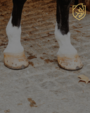 Don't Wait: Catching Soft Tissue Injuries Early