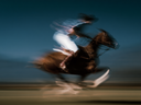 <p> <strong>PROTEJA A SU ATLETA EQUINO</strong></p>